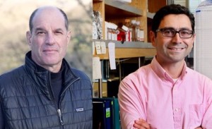 Estados Unidos.- David Julius y Ardem Patapoutian, premio Fundación BBVA por identificar los sensores que permiten sentir el dolor